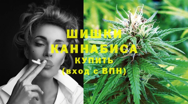 метадон Богданович