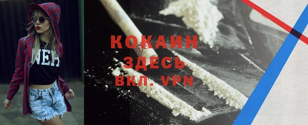 метадон Богданович