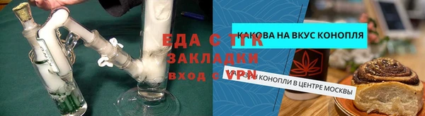 прущие грибы Новозыбков