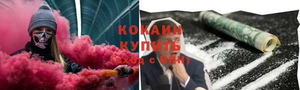 метадон Богданович