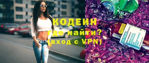 метадон Богданович