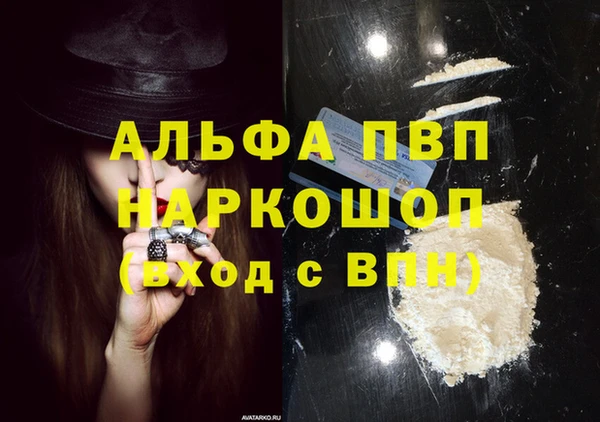 метадон Богданович