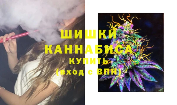 прущие грибы Новозыбков