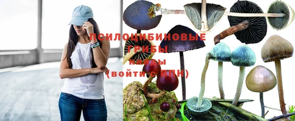 ALPHA-PVP Новокубанск