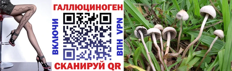 Галлюциногенные грибы ЛСД Новодвинск